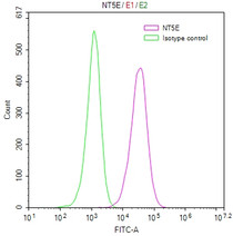 Overlay Peak curve showing PC3 cells surface stained with RAC08016 (red line) at 1:100. Then 10% normal goat serum to block non-specific protein-protein interactions followed by the antibody (1ug/1*10 6 cells) for 45min at 4℃. The secondary antibody used was FITC-conjugated Goat Anti-human IgG(H+L) at 1:200 dilution for 35min at 4℃.Control antibody (green line) was mouse IgG (1ug/1*10 6 cells) used under the same conditions. Acquisition of >10,000 events was performed.