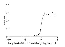 The Binding Activity of Human MUC17 with Anti-MUC17 Recombinant Antibody. Activity: Measured by its binding ability in a functional ELISA. Immobilized Human MUC17 at 2 μg/mL can bind Anti-MUC17 recombinant antibody. The EC50 is 0.9057-1.259 ng/mL.