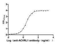 The Binding Activity of Human ACVRL1 with Anti-ACVRL1 recombinant antibody. Activity: Measured by its binding ability in a functional ELISA. Immobilized Human ACVRL1 at 2 μg/mL can bind Anti-ACVRL1 recombinant antibody, the EC50 is 2.417-2.971ng/mL.