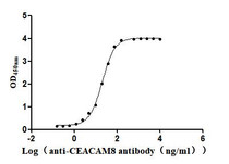 The Binding Activity of Human CEACAM8 with Anti-CEACAM8 Recombinant Antibody. Activity: Measured by its binding ability in a functional ELISA. Immobilized Human CEACAM8 at 2 μg/mL can bind Anti-CEACAM8 recombinant antibody, the EC50 is 19.38-21.68 ng/mL.