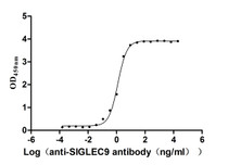 The Binding Activity of Human SIGLEC9 with Anti-SIGLEC9 Recombinant Antibody. Activity: Measured by its binding ability in a functional ELISA. Immobilized Human SIGLEC9 at 2 μg/mL can bind Anti-SIGLEC9 recombinant antibody. The EC50 is 1.033-1.429 ng/mL.