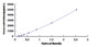 Typical Standard Curve for ADAMTS1 ELISA (Sandwich)