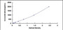 Typical Standard Curve for ANGPTL2 ELISA (Sandwich)