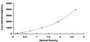 Typical Standard Curve for ACE2 ELISA (Sandwich)