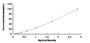 Typical Standard Curve for APOF ELISA (Sandwich)