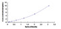 Typical Standard Curve for BCAR1 ELISA (Sandwich)