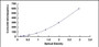 Typical Standard Curve for CALB ELISA (Sandwich)