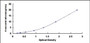 Typical Standard Curve for CACNa1E ELISA (Sandwich)