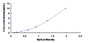 Typical Standard Curve for CASR ELISA (Sandwich)