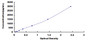 Typical Standard Curve for CTSD ELISA (Sandwich)