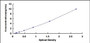 Typical Standard Curve for CCKAR ELISA (Sandwich)