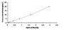 Typical Standard Curve for CHRNa3 ELISA (Sandwich)