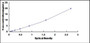 Typical Standard Curve for COL1a2 ELISA (Sandwich)