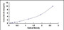 Typical Standard Curve for DAPK1 ELISA (Sandwich)