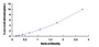 Typical Standard Curve for DAPK3 ELISA (Sandwich)