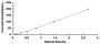 Typical Standard Curve for FTH ELISA (Sandwich)