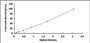 Typical Standard Curve for FLRT3 ELISA (Sandwich)