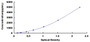 Typical Standard Curve for FCN3 ELISA (Sandwich)