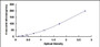 Typical Standard Curve for GSTM1 ELISA (Sandwich)