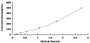 Typical Standard Curve for IFNg ELISA (Sandwich)