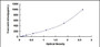 Typical Standard Curve for IL12B ELISA (Sandwich)