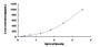 Typical Standard Curve for JAK3 ELISA (Sandwich)