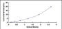 Typical Standard Curve for JAM1 ELISA (Sandwich)