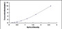 Typical Standard Curve for KLK9 ELISA (Sandwich)