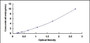 Typical Standard Curve for CK8 ELISA (Sandwich)