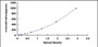 Typical Standard Curve for KLb ELISA (Sandwich)