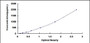 Typical Standard Curve for LTF ELISA (Sandwich)