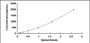 Typical Standard Curve for LAMb1 ELISA (Sandwich)