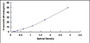 Typical Standard Curve for LEFTY1 ELISA (Sandwich)