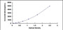 Typical Standard Curve for LIPG ELISA (Sandwich)