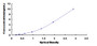 Typical Standard Curve for LAG3 ELISA (Sandwich)