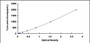 Typical Standard Curve for MIP1b ELISA (Sandwich)