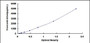 Typical Standard Curve for MMP12 ELISA (Sandwich)