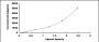 Typical Standard Curve for MMP13 ELISA (Sandwich)