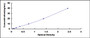 Typical Standard Curve for CD146 ELISA (Sandwich)