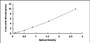 Typical Standard Curve for MCM5 ELISA (Sandwich)