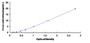 Typical Standard Curve for MYH4 ELISA (Sandwich)