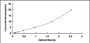 Typical Standard Curve for NKCC2 ELISA (Sandwich)