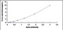 Typical Standard Curve for NBL1 ELISA (Sandwich)