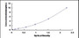 Typical Standard Curve for NCDN ELISA (Sandwich)