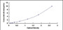 Typical Standard Curve for NFkB ELISA (Sandwich)