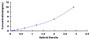 Typical Standard Curve for OCT4 ELISA (Sandwich)