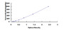 Typical Standard Curve for PECAM1 ELISA (Sandwich)