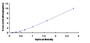 Typical Standard Curve for KCC4 ELISA (Sandwich)