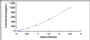 Typical Standard Curve for VP ELISA (Sandwich)