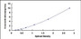 Typical Standard Curve for PLOD2 ELISA (Sandwich)